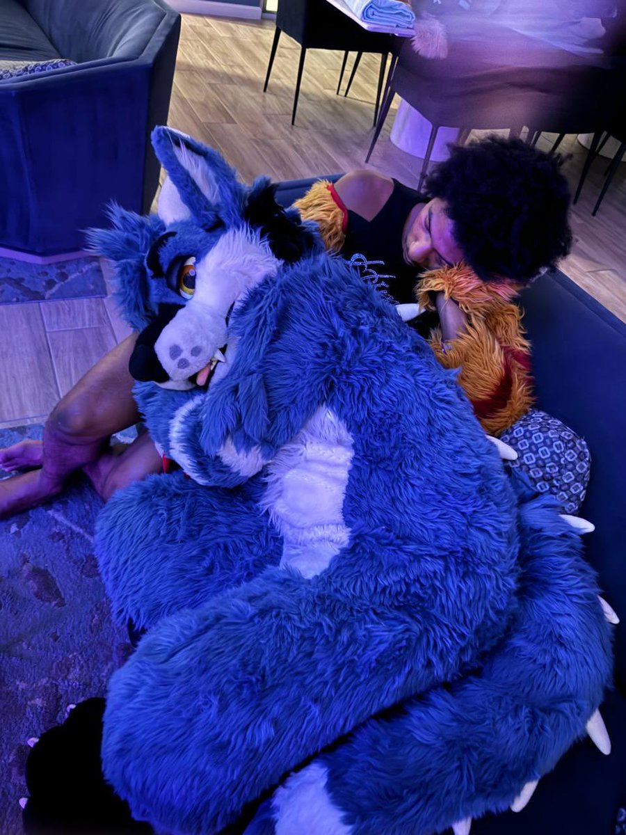 dirdwolf's tweet image. I did it again @kittytime1738