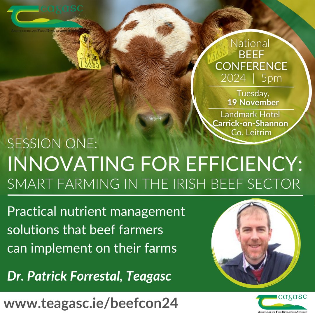 teagasc's tweet photo. Join us this Tuesday, 19 November at 5pm in the Landmark Hotel, Carrick-on-Shannon, Co. Leitrim for the National Beef Conference. Session One will focus on 'Innovating for Efficiency: Smart farming in the Irish beef sector'.
Find out more https://t.co/HlGKZvuNvT #BeefCon24 https://t.co/dhAgObeG8n