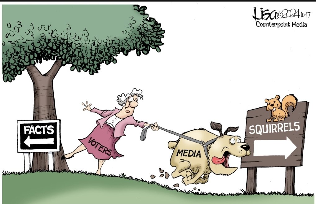 sfj8888's tweet image. 