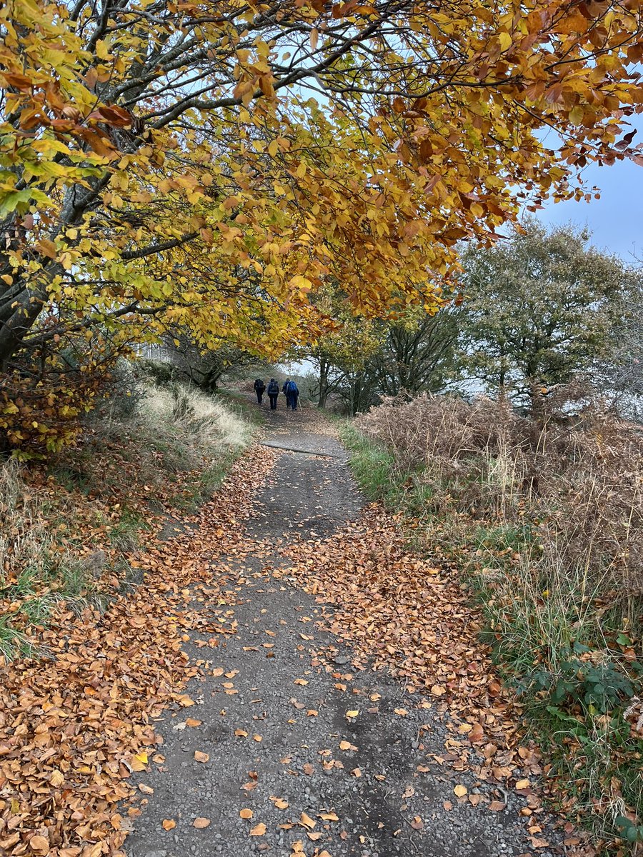 Benjamin Fearn tweet media