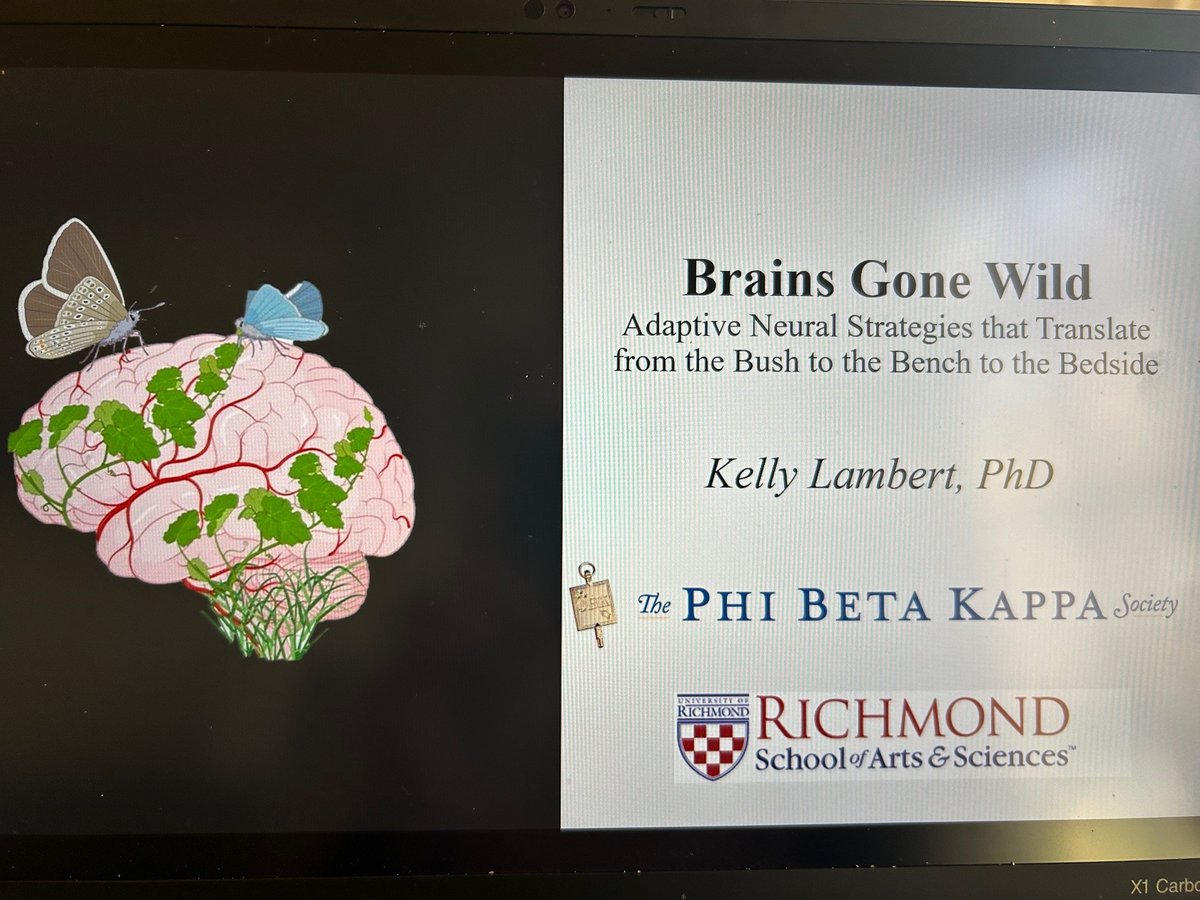 KellyLambertUR's tweet image. I had a great @PhiBetaKappa visit at @IndianaUniv this week sharing our "wild brain" and neuroplasticity research. Highlights included the country's largest anatomically correct(ish) human brain, the beautiful woodland campus, and meeting IU's wonderful faculty and students.