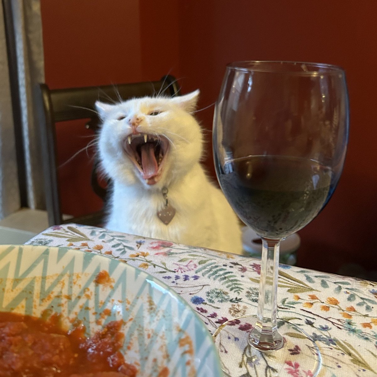 It’s scream into the void Saturday! What are you screaming into the void today?