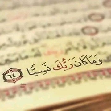 روز♡~-••-~♡ (@rwz137) on Twitter photo 