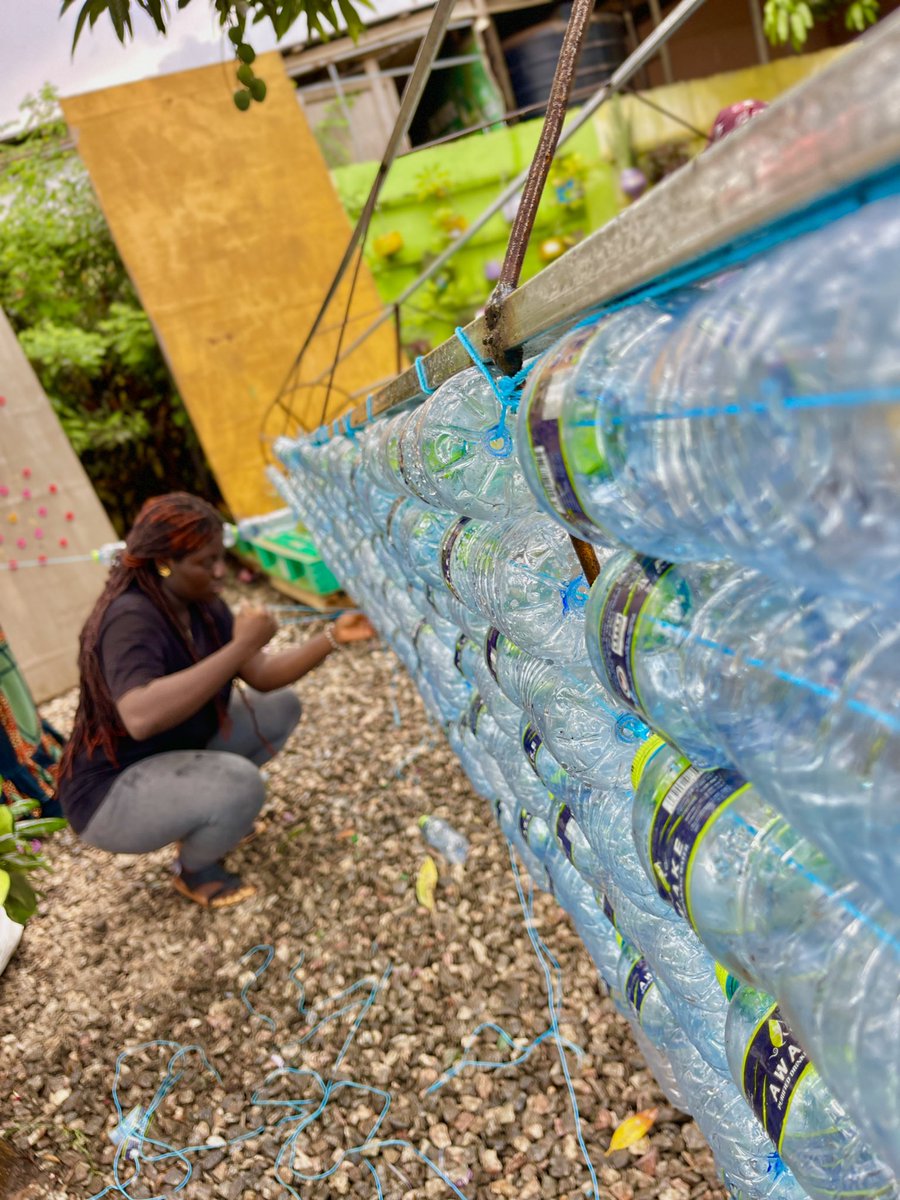 Mckingtorch Africa (@mckingtorchafri) on Twitter photo Mckingtorch Africa plastic waste bottle trees since 2017. Millions see this every year and we have done them in 4 major regions since. We are on a journey to make many trees before Christmas <a href="/UKinGhana/">UK in Ghana 🇬🇧🇬🇭</a> <a href="/UNDPClimate/">UNDP Climate</a> <a href="/UNEP/">UN Environment Programme</a> <a href="/UNFPA/">UNFPA</a> <a href="/EuropeInGhana/">European Union in Ghana</a> Mckingtorch Africa plastic waste bottle trees since 2017. Millions see this every year and we have done them in 4 major regions since. We are on a journey to make many trees before Christmas <a href="/UKinGhana/">UK in Ghana 🇬🇧🇬🇭</a> <a href="/UNDPClimate/">UNDP Climate</a> <a href="/UNEP/">UN Environment Programme</a> <a href="/UNFPA/">UNFPA</a> <a href="/EuropeInGhana/">European Union in Ghana</a>
