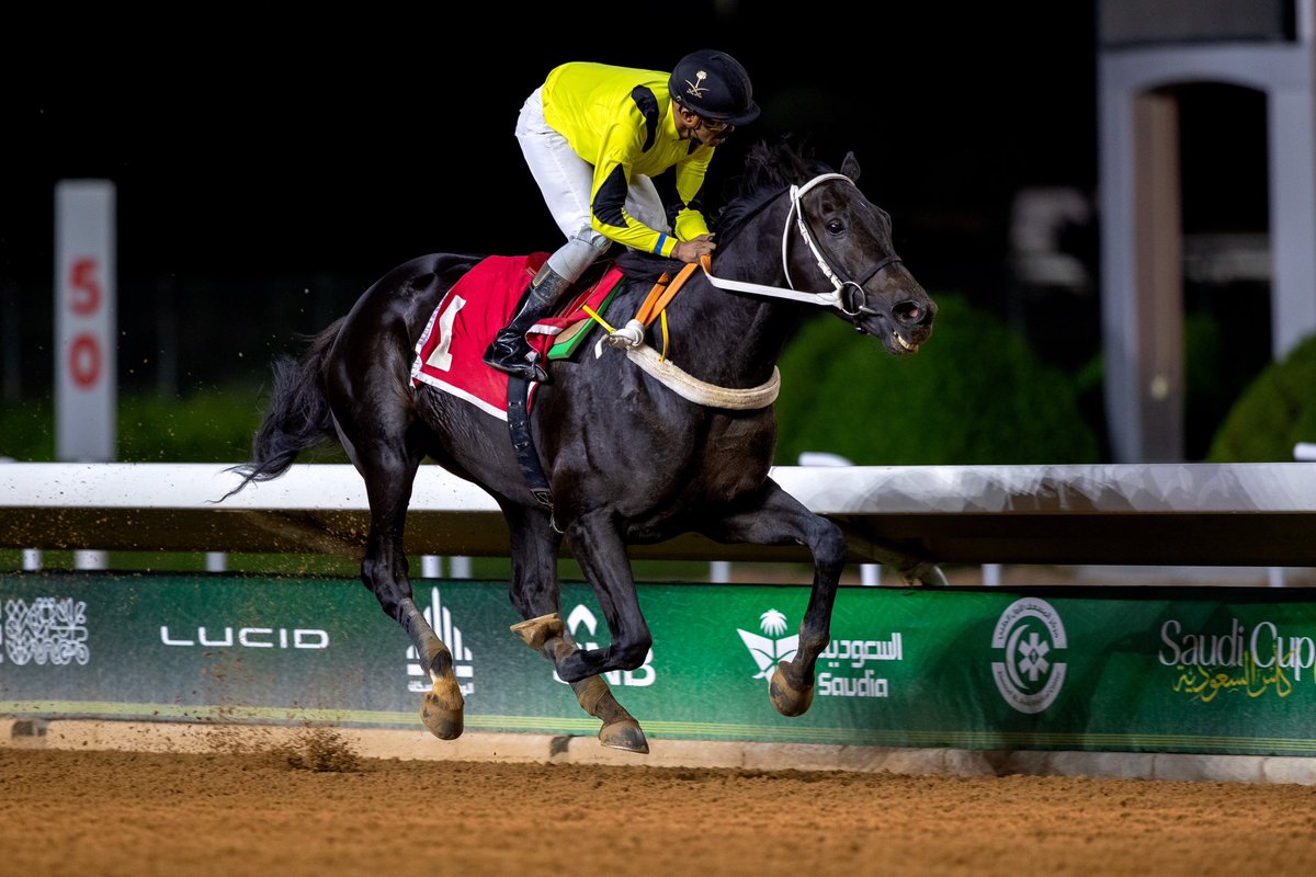 JockeyClub_SA's tweet photo. نتيجة الشوط الـ 10 الحفل ( 53 ) 

◻️الفائز : ويت تو اكسل
◻️المالك : اسطبل الديحاني
◻️المدرب : ثامر الديحاني
◻️الخيال : محمد الدهام 
◻️المسافة : 2000م

#نادي_سباقات_الخيل 🐎 https://t.co/puNG379iha
