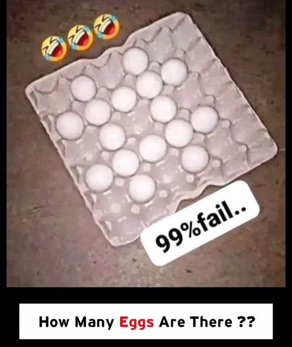 Brainy Bits Hub tweet media