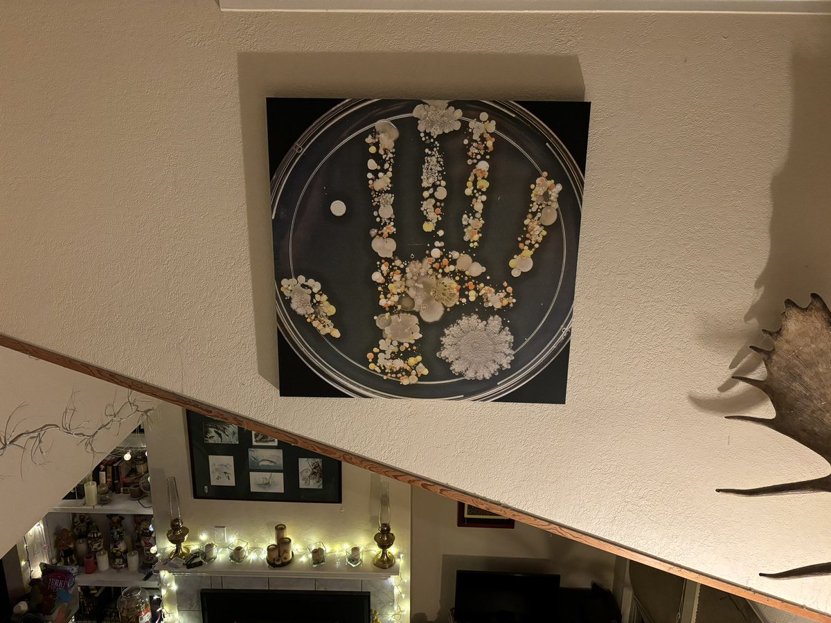 tasturm1's tweet image. Early Birthday Gift from my wonderful Hubby!  In all these yrs first time I have seen it displayed like this in person!  #DescribeThatMicrobe #microbiology #science