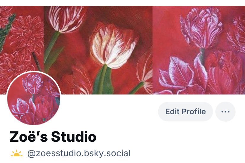 Zoë's Studio tweet media