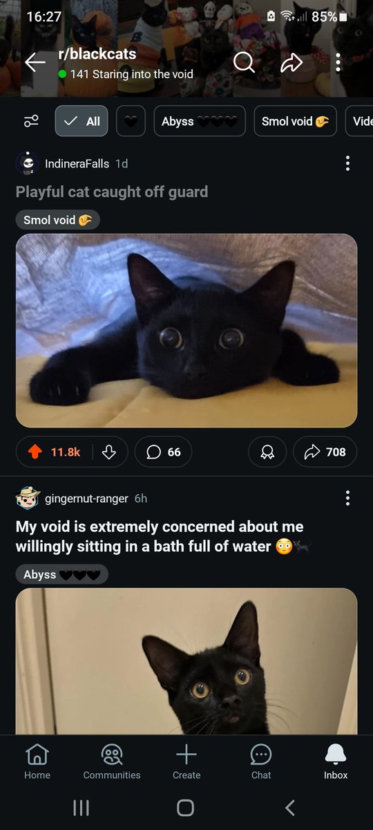 Indinera Falls 😎 tweet media