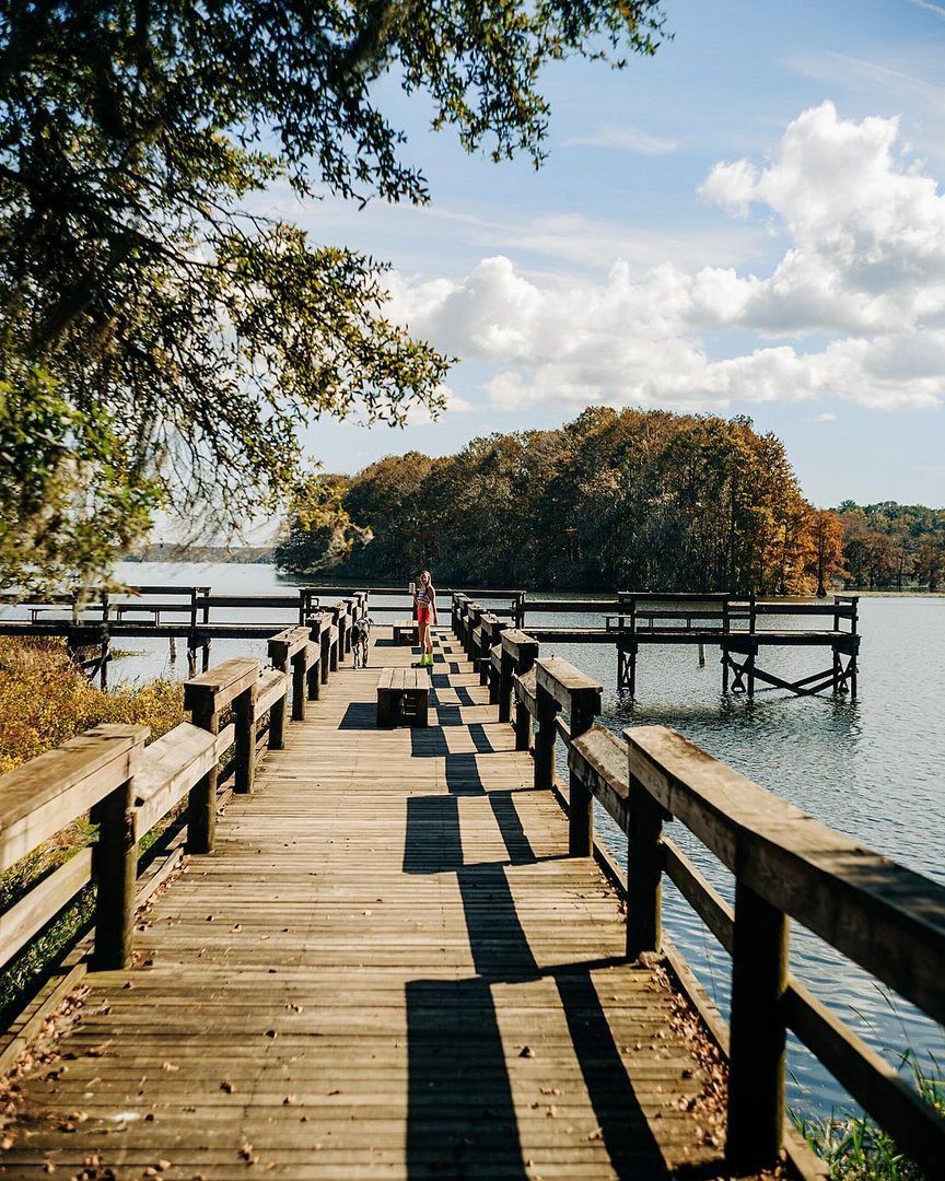 VISIT FLORIDA (@visitflorida) on Twitter photo Camping has to be one of our top fav paw-approved Florida activities ποΈ
π: <a href="/Visit_Tally/">Visit Tallahassee</a>
πΈ: IG: heyor.ca/roeRBs Camping has to be one of our top fav paw-approved Florida activities ποΈ
π: <a href="/Visit_Tally/">Visit Tallahassee</a>
πΈ: IG: heyor.ca/roeRBs
