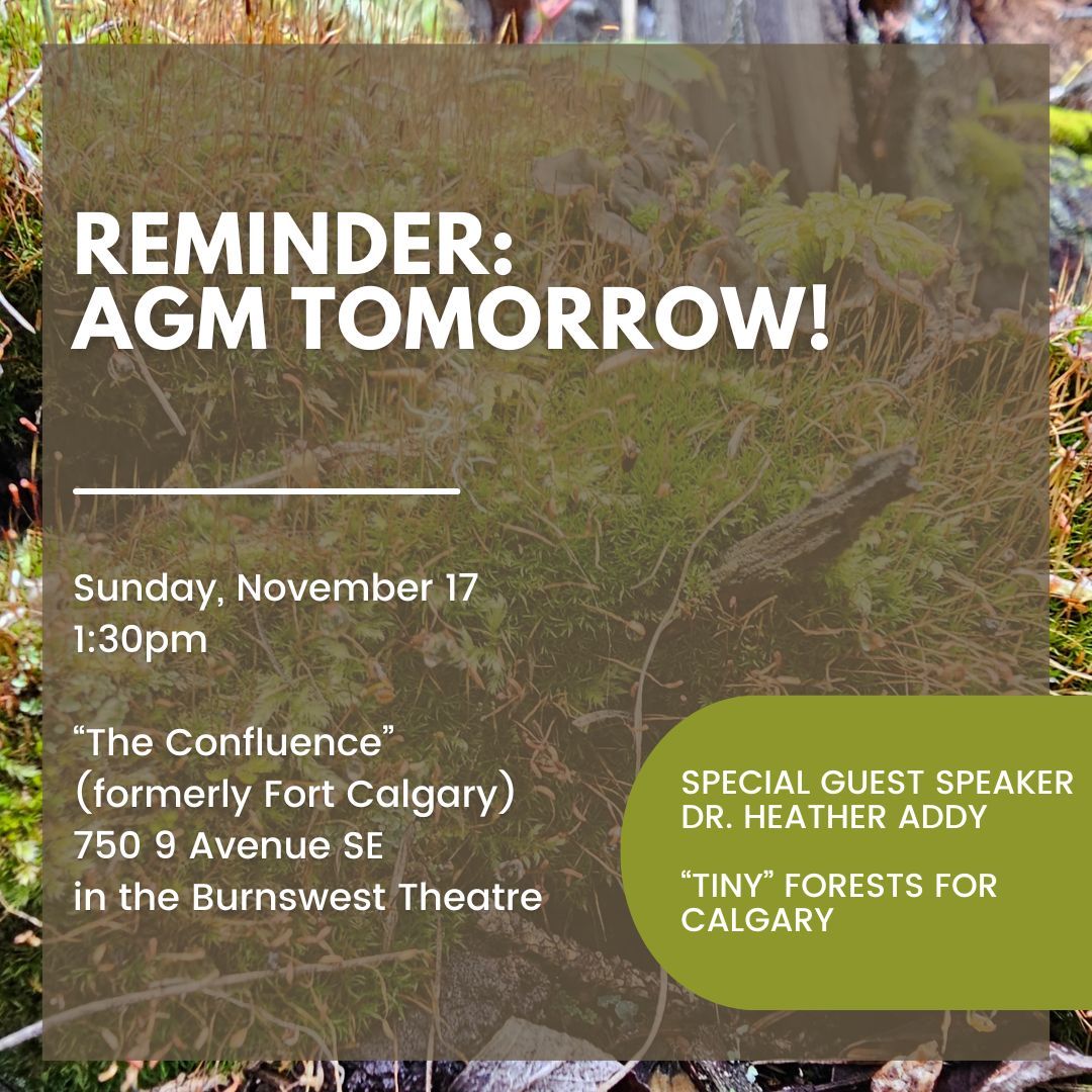 Reminder: Nature Calgary's AGM is tomorrow! We hope to see all our members there. buff.ly/3CdEvHW