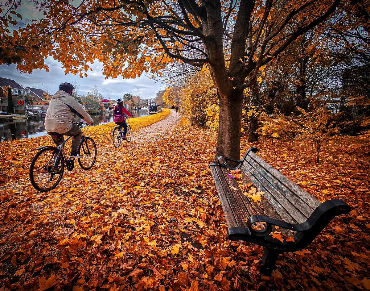 stevestufff's tweet photo. Autumnal walk, Loughborough, UK

#autumn #photooftheday https://t.co/LNvnrREkVw