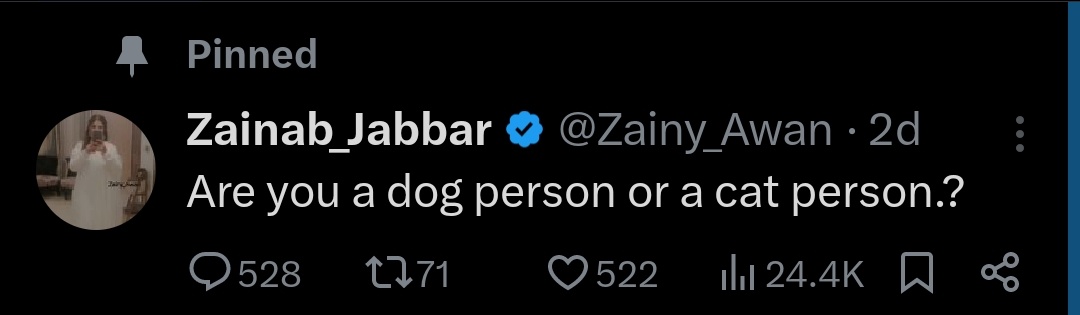 Zainab_Jabbar tweet media