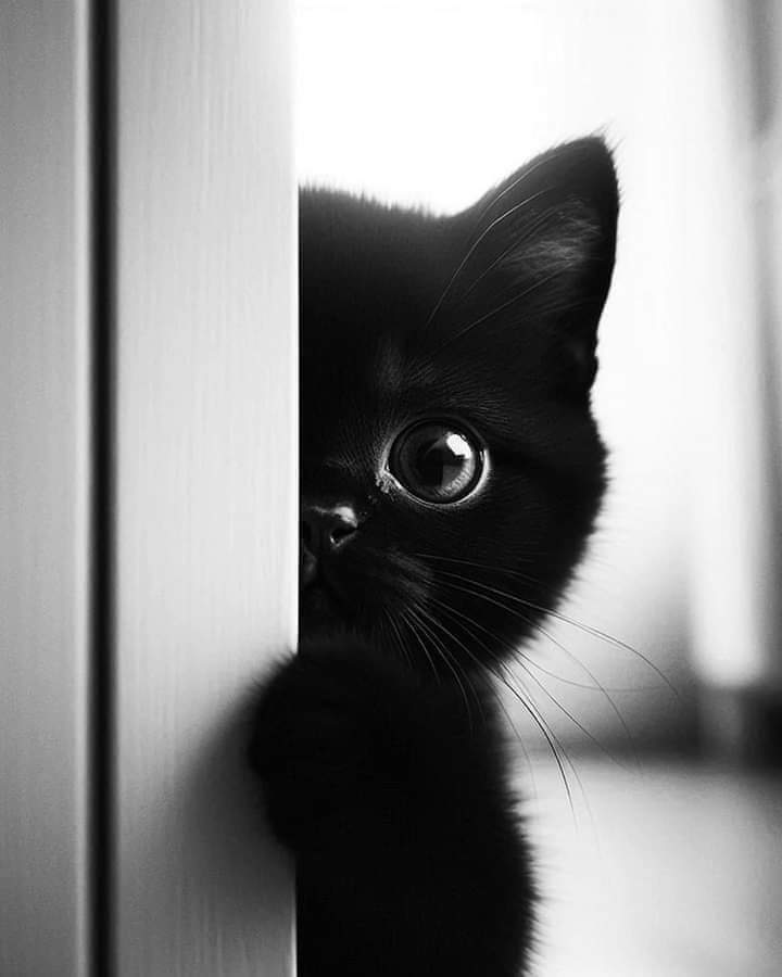 Marie (@m77481070) on Twitter photo 