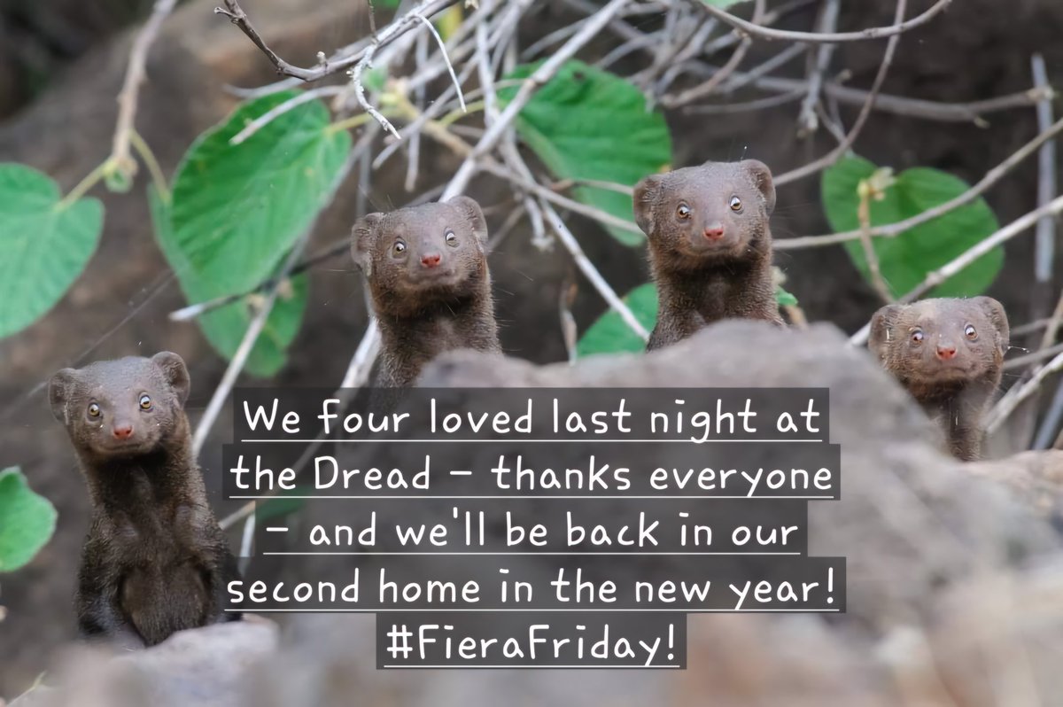 Thank you as always, Alan, Peter and the rest 9f the <a href="/Dreadnoughtrock/">DreadnoughtRock</a> crew. Great gig last night! @brettsjackson <a href="/ARSeDave/">Dave Cumming</a> <a href="/LMKorimboccus/">Lynda M Korimboccus Ⓥ</a> #livemusic