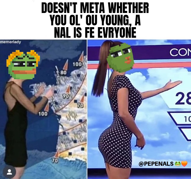 Meta of meme <a href="/PepeNals/">PepeNals | PEPE•OF•BITCOIN 🟧</a>