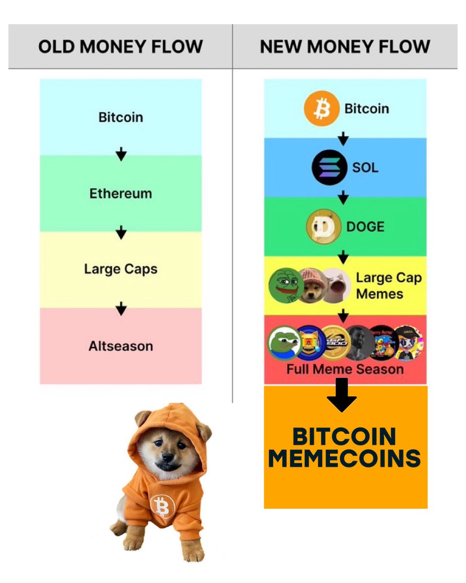 The nature of the Money Flow in Crypto is changing. Meme Season is the new  Altcoin Season many of you are waiting for. But what happens in the crypto  bear market when