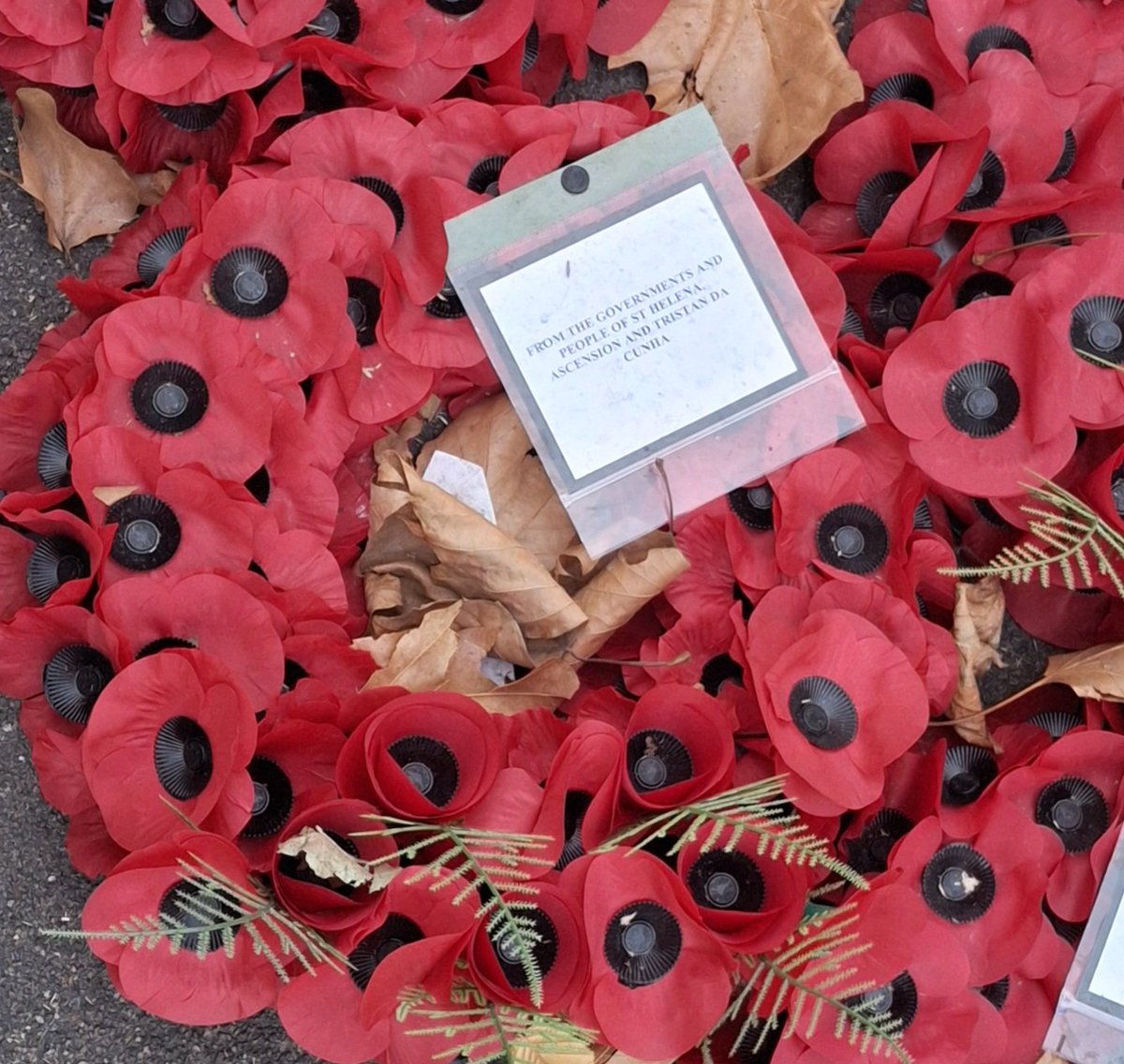 Philip Rushbrook tweet media