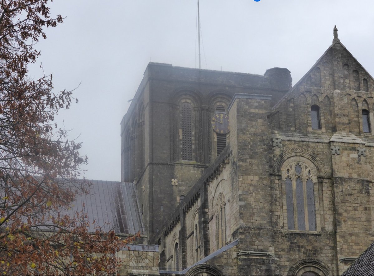 In our latest blog, read more about the fantastic success of the Swifts nesting in boxes we installed in Winchester Cathedral <a href="/WinCathedral/">Winchester Cathedral</a> afte out annual inspections

hampshireswifts.co.uk/post/wincheste…