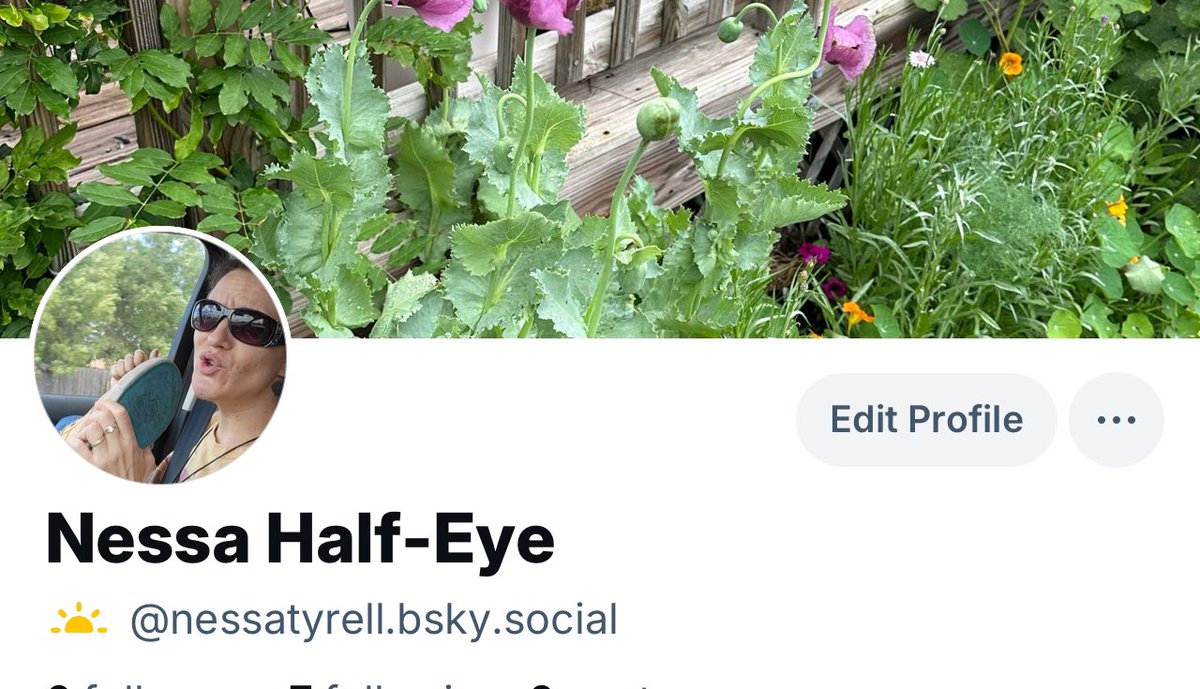 For those interested, follow me over here!!