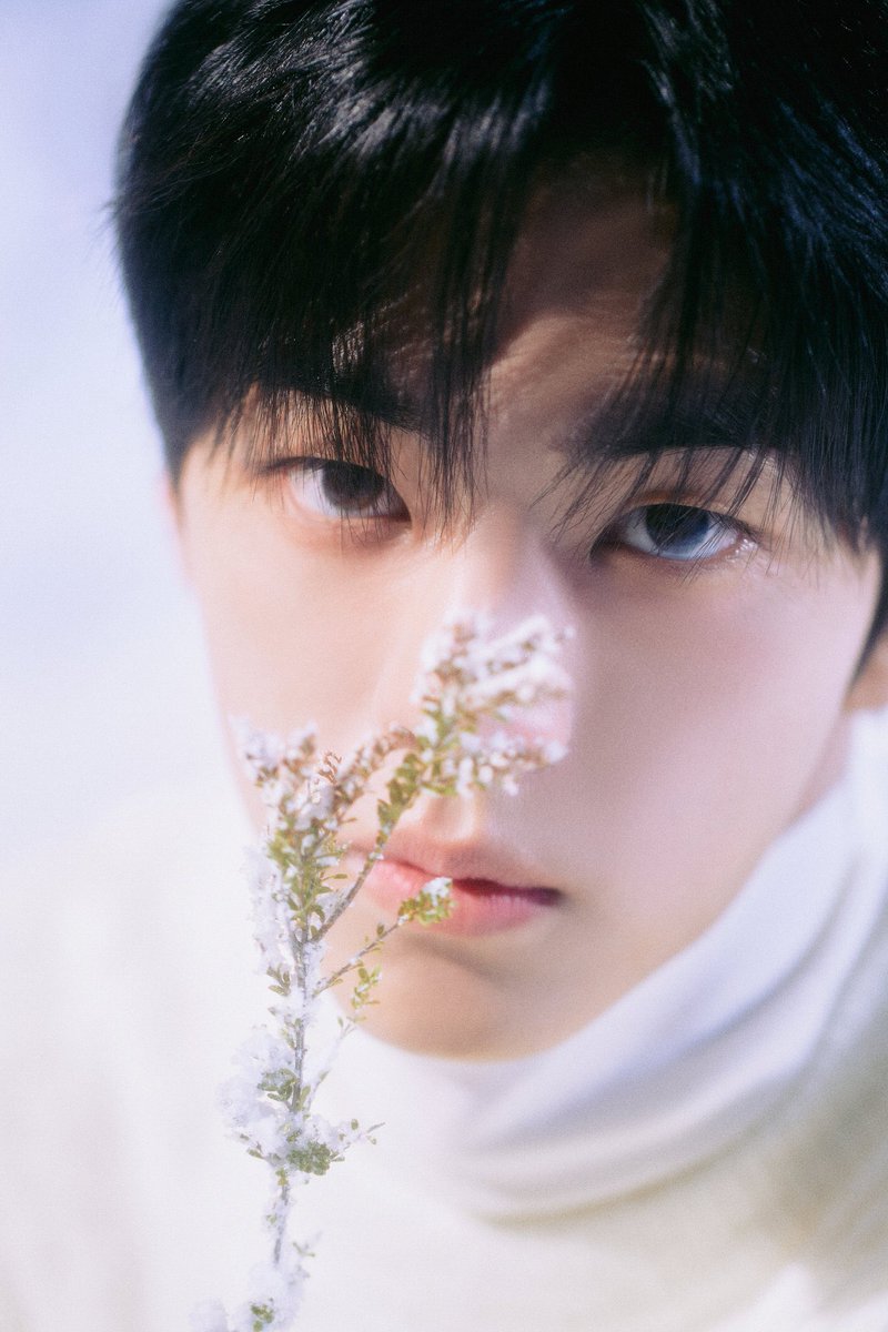 Dohoonm's tweet photo. Capturing a moment of calm and serene, like a winter morning’s quiet embrace. https://t.co/iDPYnEWZRS