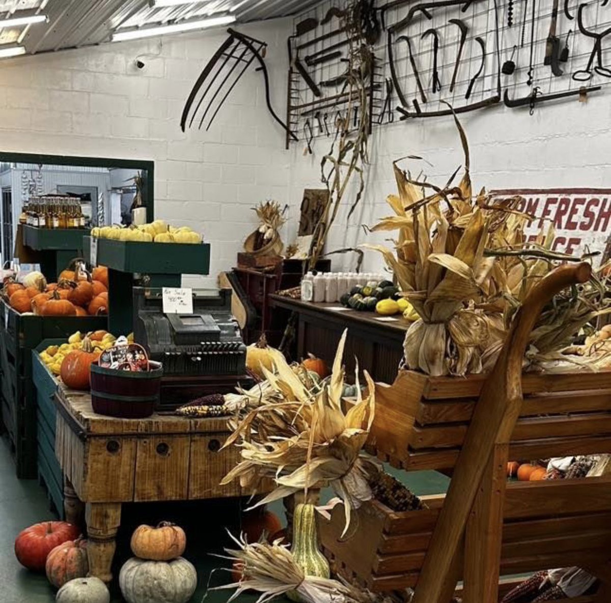 rochestercider's tweet photo. πβ¨ Itβs the perfect Saturday for fresh cider, warm donuts, and autumn memories at the Cider Mill! Come enjoy our vibrant fall produce and festive decor.
π
πΎπ Open 9-5:30
#CiderMill #FallFun #FreshCider #Donuts #AutumnVibes #ThanksgivingPrep https://t.co/9PbNvYW22u