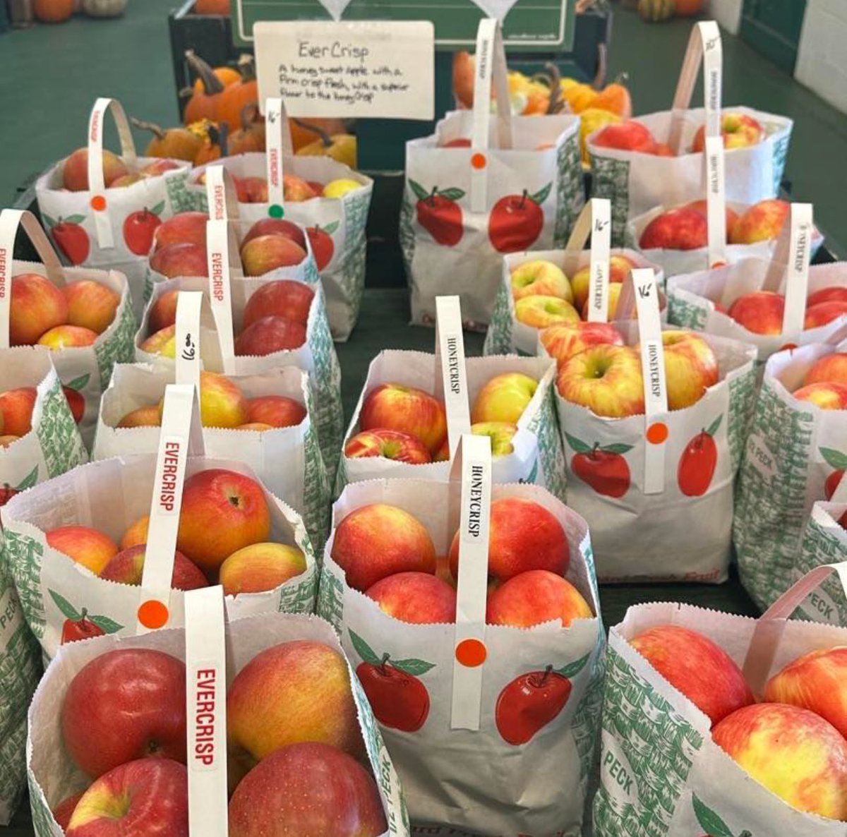 rochestercider's tweet photo. πβ¨ Itβs the perfect Saturday for fresh cider, warm donuts, and autumn memories at the Cider Mill! Come enjoy our vibrant fall produce and festive decor.
π
πΎπ Open 9-5:30
#CiderMill #FallFun #FreshCider #Donuts #AutumnVibes #ThanksgivingPrep https://t.co/9PbNvYW22u