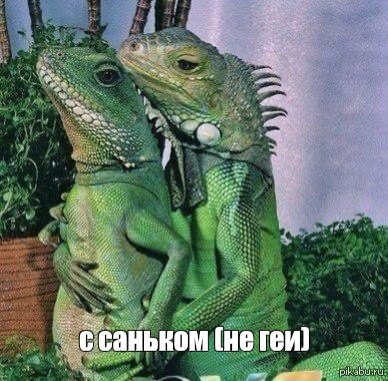 Rubashka_JN's tweet photo. Уверена, такое уже было, но БЛИН ДА https://t.co/SndUQQzmSG