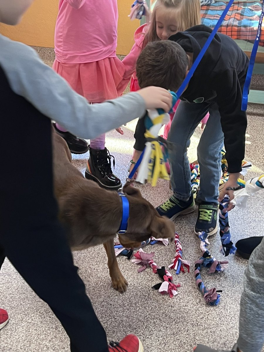 forthekiddoes's tweet photo. Authentic learning! Our @KennesawElem @CobbAlp 1st graders transferred what they’ve learned about human toys to animal toys and made tug toys and cat pom poms to donate to @MostlyMuttsATL in Kennesaw.  Great morning! Animals teach us so much. ❤️#lovetothinkhere https://t.co/ntiwPDvcWm