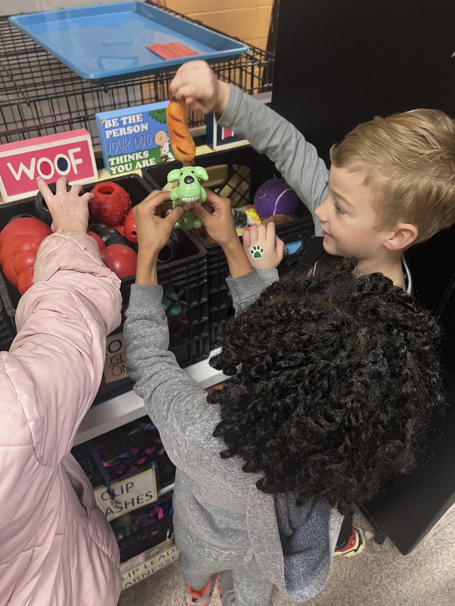 forthekiddoes's tweet photo. Authentic learning! Our @KennesawElem @CobbAlp 1st graders transferred what they’ve learned about human toys to animal toys and made tug toys and cat pom poms to donate to @MostlyMuttsATL in Kennesaw.  Great morning! Animals teach us so much. ❤️#lovetothinkhere https://t.co/ntiwPDvcWm