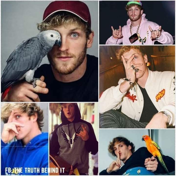 YvesUitGent's tweet image. #puppet #distraction #breadandcircus #scriptwriting