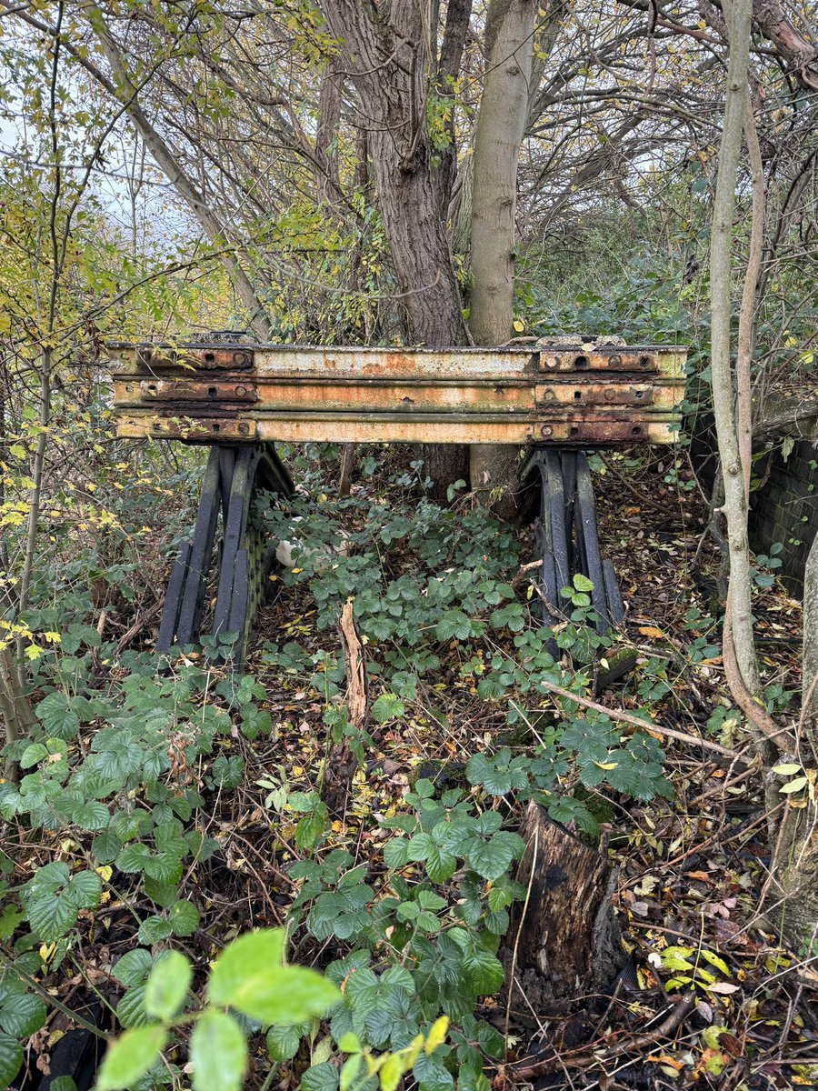 Returned to nature….