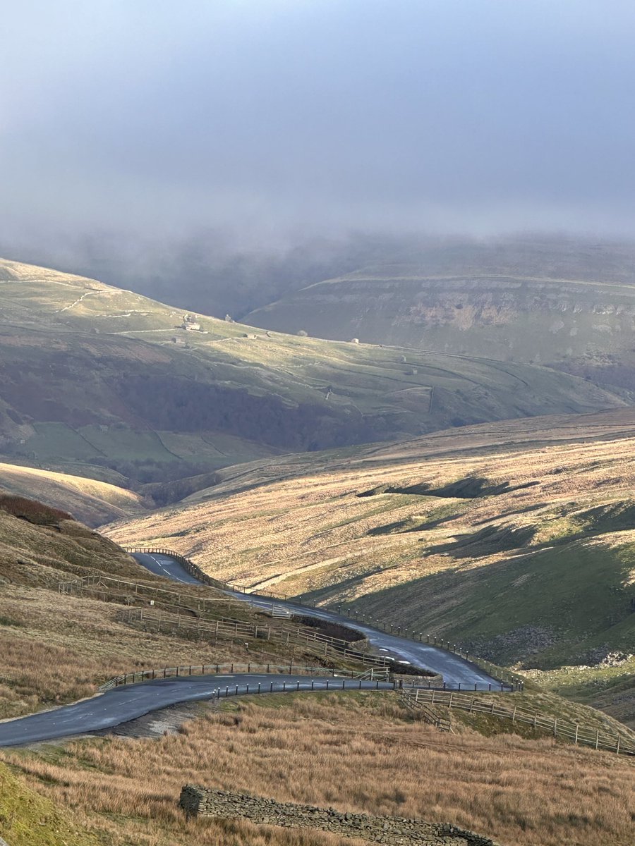 Alison O’Neill ~ Shepherdess tweet media