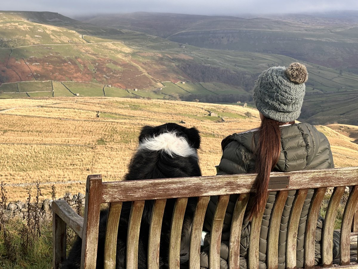 Alison O’Neill ~ Shepherdess tweet media