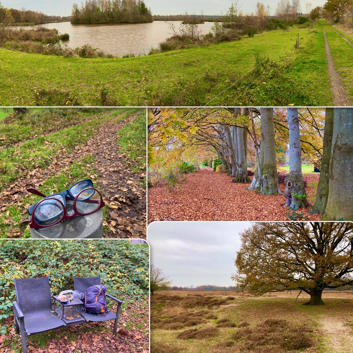 Vandaag met een goede vriend “trage tocht Oud-Avereest” gelopen. Ten NW van Oud-Avereest, prachtige route, 95% onverhard, 13 km, en erg rustig (op de motorcross in Balkbrug na dan). 
<a href="/TruusWijnen/">Truus Wijnen</a> <a href="/AnnySpoolder/">Anny Spoolder🌻🍃</a> <a href="/BekiekTwente/">Bekiek Twente</a> <a href="/FrisiaCoast/">Frisia Coast Trail 🥾</a>