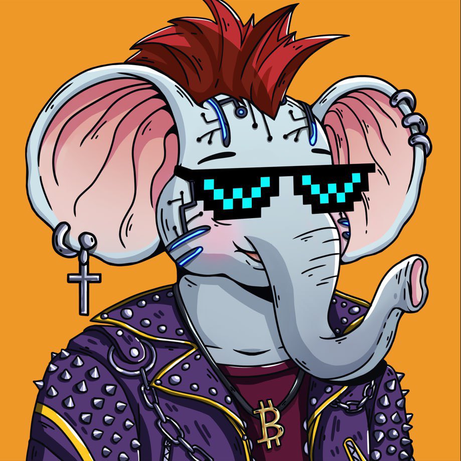 Let’s go <a href="/WorldOfPumpKins/">World of PumpKins | $WEWE</a>!
Snapshot is done.
All WOP NFT holders are eligible for D’NDY NFT.
WL mint on magiceden.io on November 19th  at 17.00 UTC
1 WL = 2 NFTs
And <a href="/weweonbase/">WEWECOIN | $WEWE</a> $wewe token suppose to play important role in assurance of D’NDY NFTs.