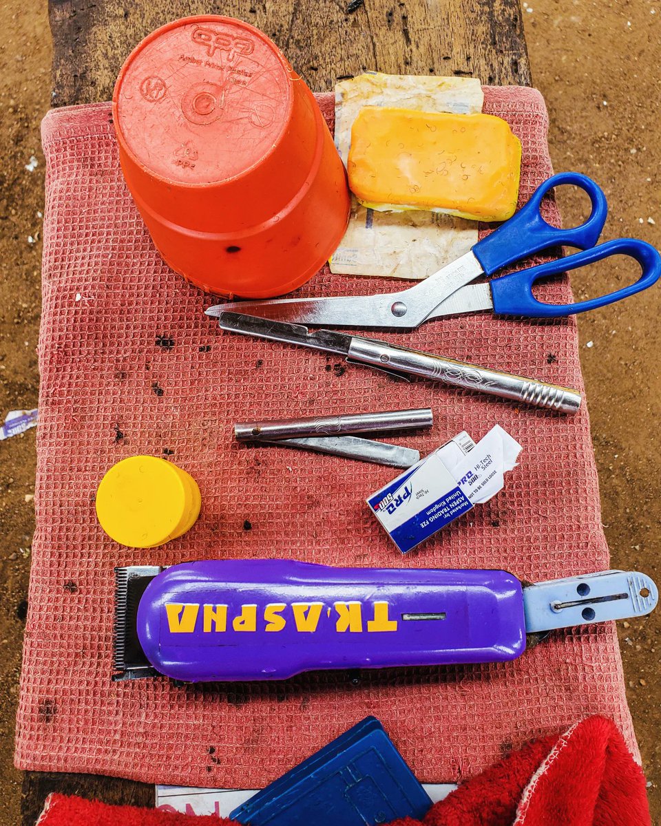 Legacy of the Blade

From age-old methods to modern tools, bridging the gap between tradition and innovation. Each barber, in their own way, shapes more than just hair; they shape identities and project self-expression

From Moments to Memories
💫 seunadeniyi.com

🇳🇬