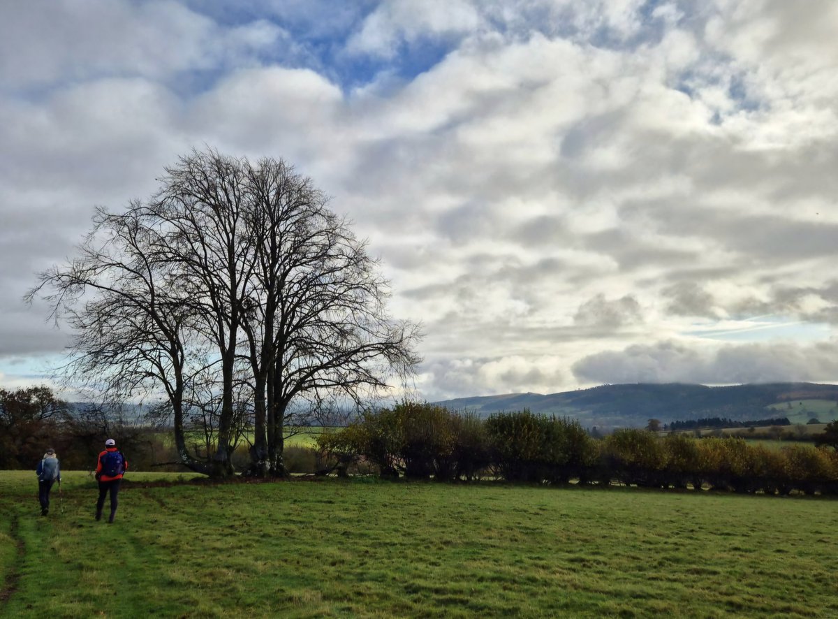 sharonamery's tweet photo. After an intense time at work, it felt so good to be back in my happy place with V and R! ๐ฅฐ
#leintwardine #downtoncastle #herefordshire #countryside #fields #trees #castle #church #views #autumn #autumnvibes #bluesky #sunshine #walking #exploring #weekendexploring #weekendvibes https://t.co/vqNrBx5e5N