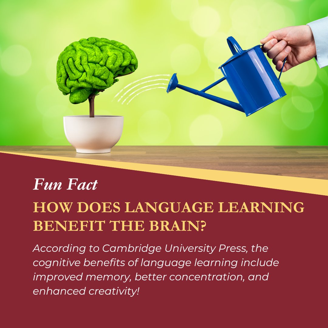 According to Cambridge University Press, the cognitive benefits of language learning include improved memory, better concentration, and enhanced creativity! Read more: cambridge.org/elt/blog/2022/…