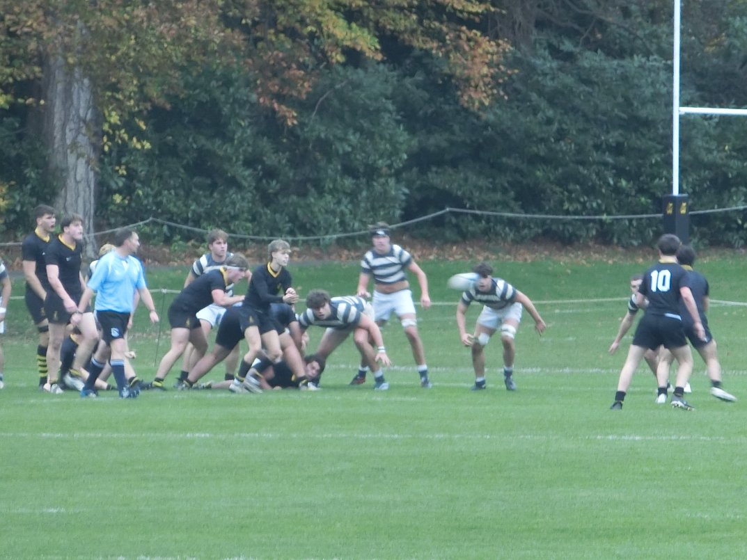 Wellington Sport tweet media