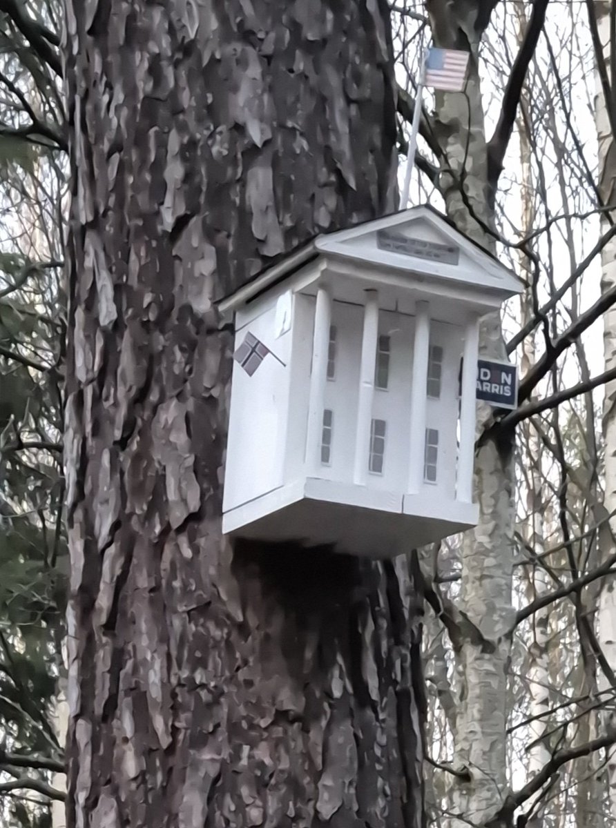 Nå får vi se hvilken gjøk som legger egget sitt i dette hvite huset...?