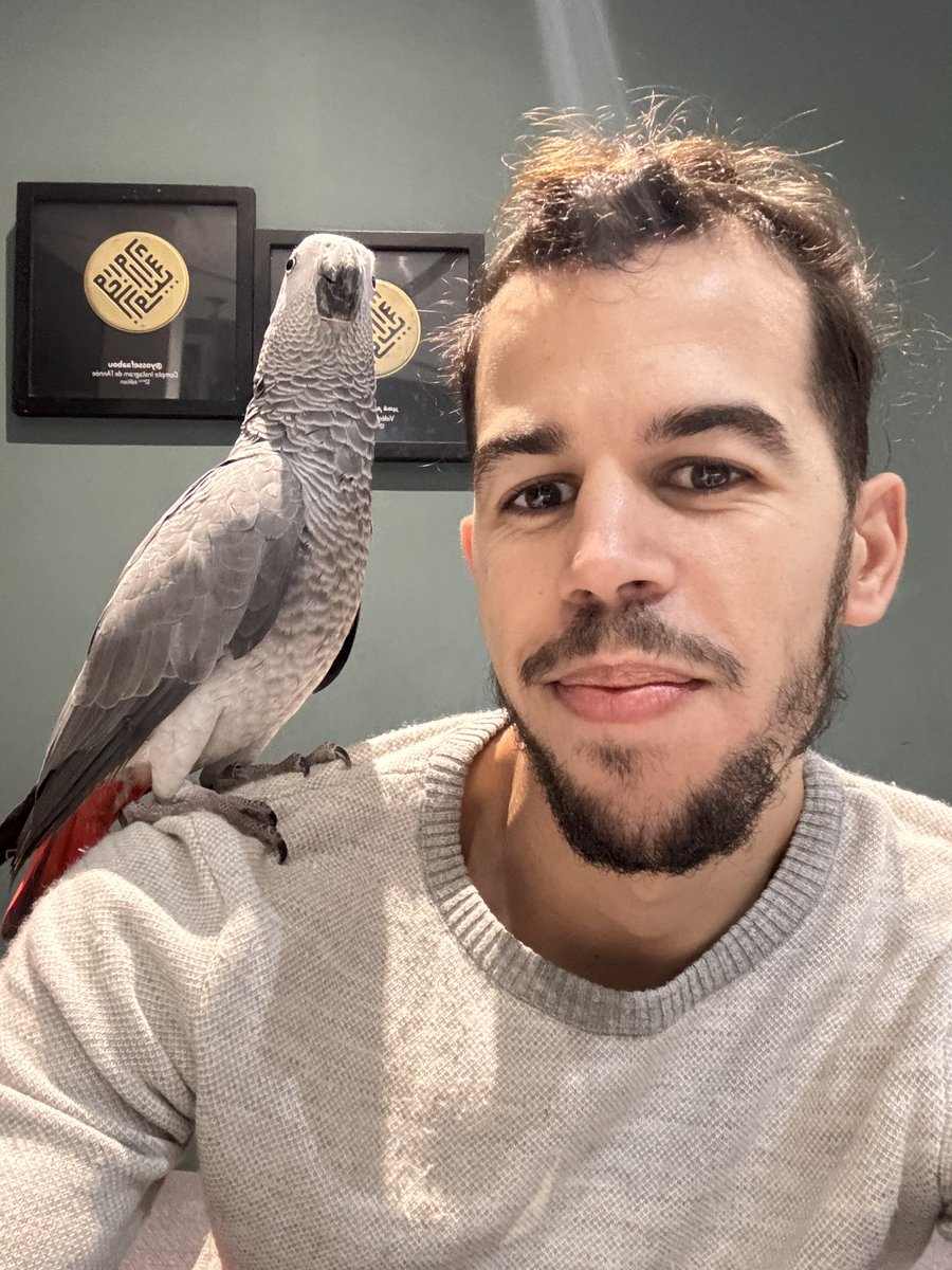 Youssef Aabou tweet media