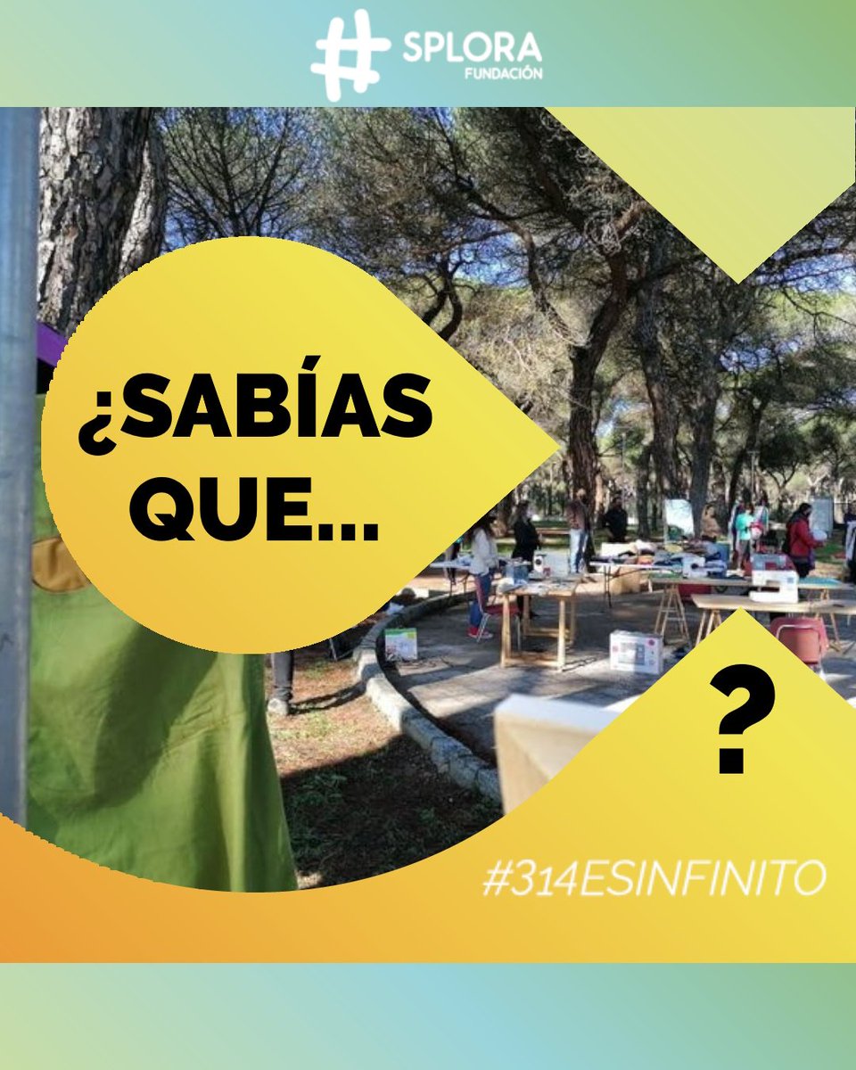 Zona Joven Pinar Valladolid tweet media