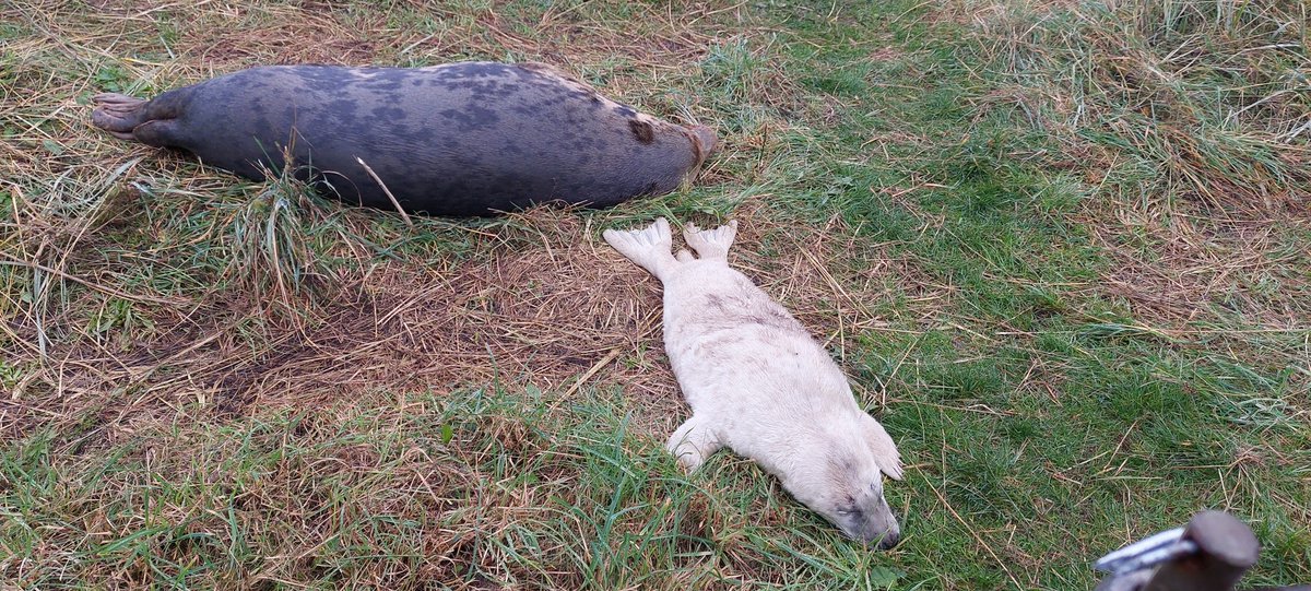 Active weekend in Mablethorpe 🚴‍♀️🚴‍♀️🚴‍♀️🚴‍♀️