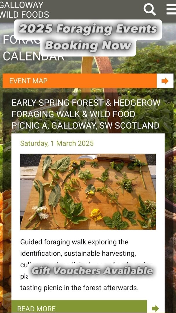 markwildfood's tweet photo. My first raft of 2025 foraging events are up and selling on my website now. From Perthsire to Cumbria via lots of Scotland’s glorious West Coast, there is something for all foraging interests…
🌱Early spring shoots &amp; birch sap
🪸Low tide seaweed &amp; shell… https://t.co/1kLNwg9UWK https://t.co/cDnzczCRfD