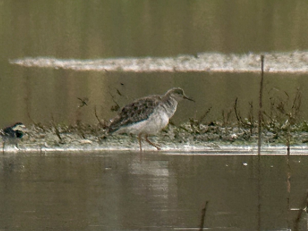 Rupert Evershed tweet media