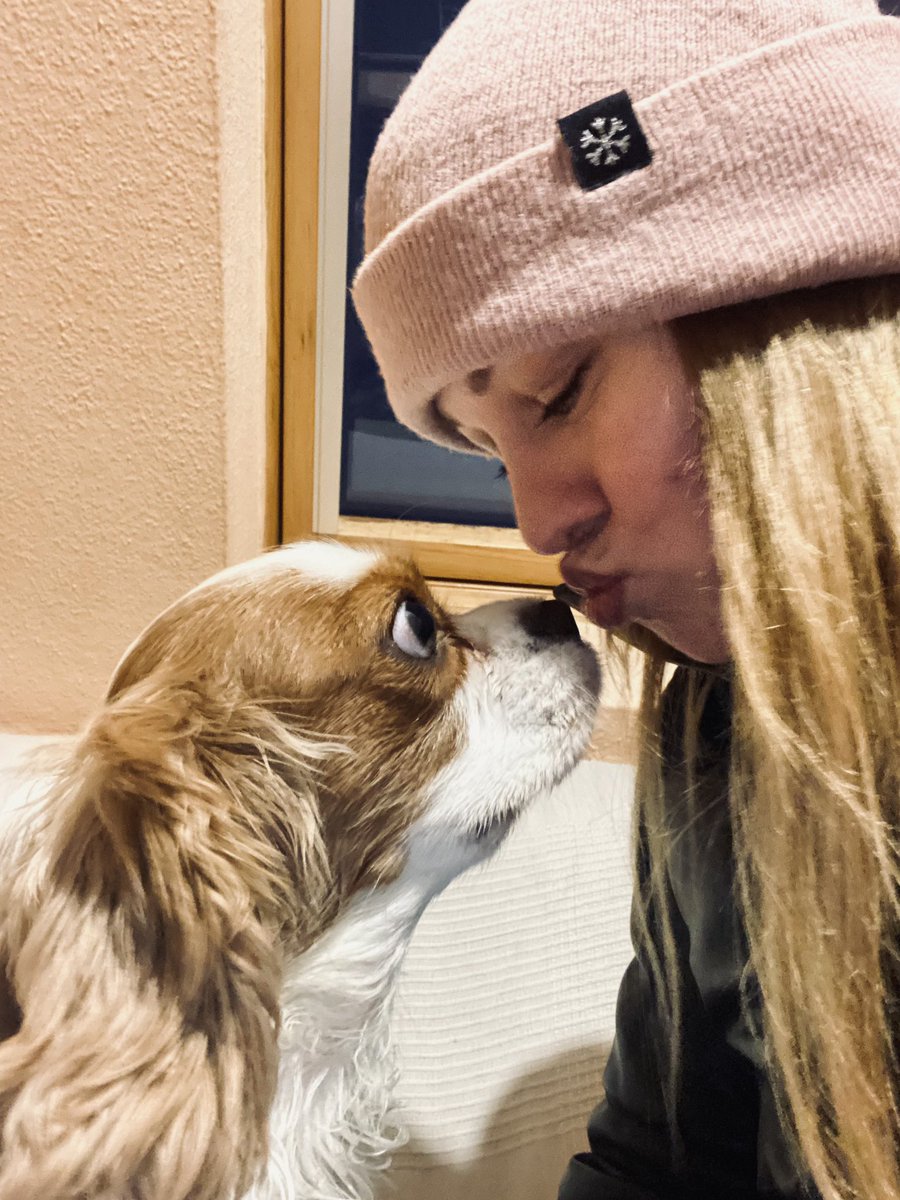 Blue Angel (@blueangellive) on Twitter photo 