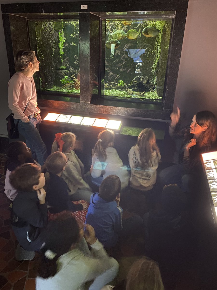 Loïc Quinton (@loicquinton) on Twitter photo Très chouette anniversaire pour les 9 ans d’Anaelle aujourd’hui @aquariummuseum de <a href="/LiegeUniversite/">Liege Universite</a>. Tout va bien, nos petits détectives ont retrouvé Némo! Merci pour cette superbe animation! Très chouette anniversaire pour les 9 ans d’Anaelle aujourd’hui @aquariummuseum de <a href="/LiegeUniversite/">Liege Universite</a>. Tout va bien, nos petits détectives ont retrouvé Némo! Merci pour cette superbe animation!