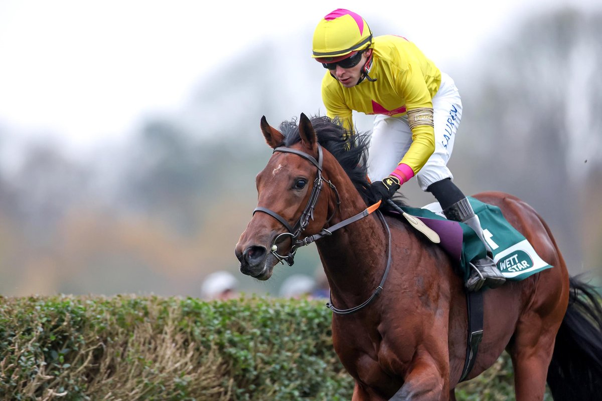 The last group race of the 2024 racing season was held today with the Großer Preis der Wohnstätte Krefeld - Herzog von Ratibor-Rennen at Group III level.
The winner was Pompeo Drea owned by Cometica AG.
The young colt was purchased at our yearling sale last year.
