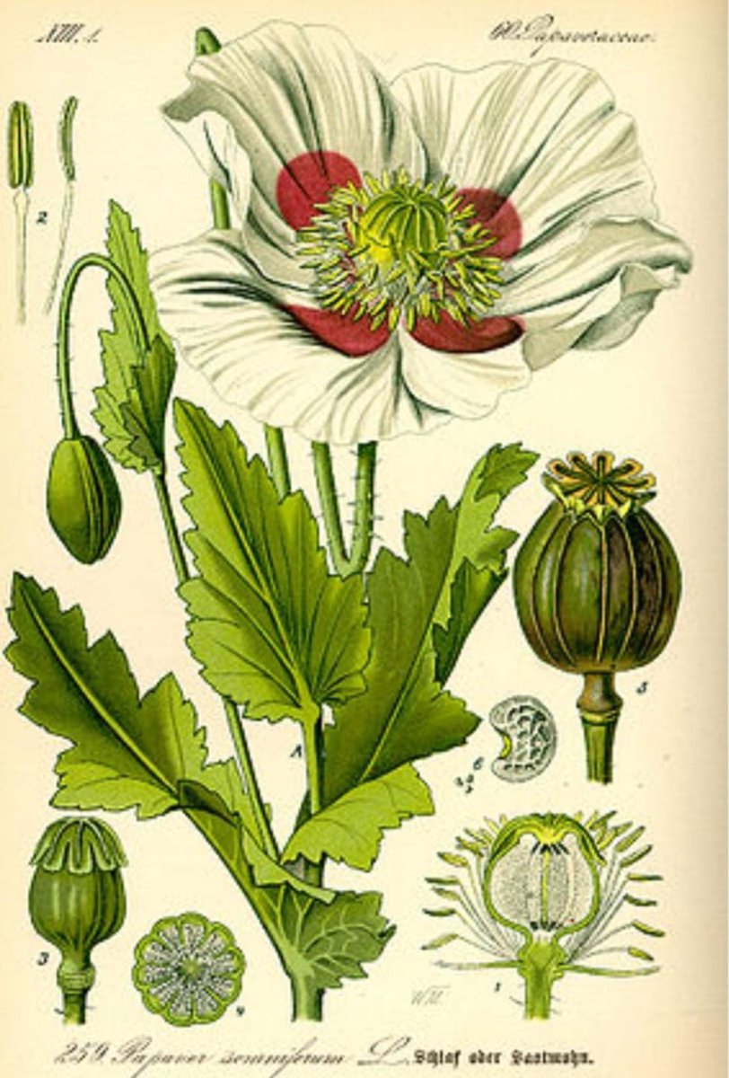 मुकेश कुमार जाट (@mukeshj05191941) on Twitter photo 